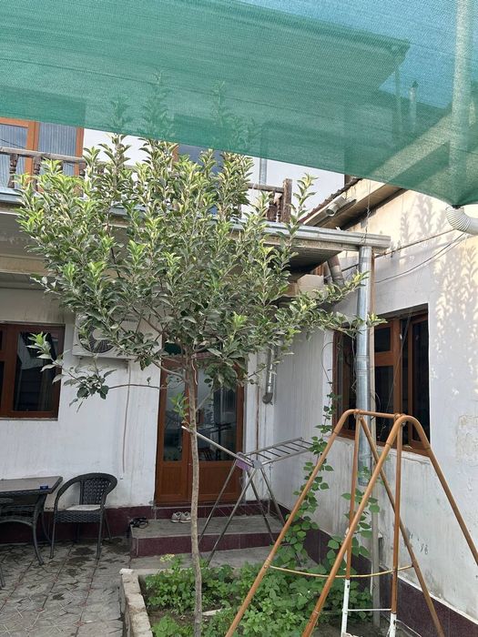 Pradoyotsa dom v starom gorode v tsentre goroda