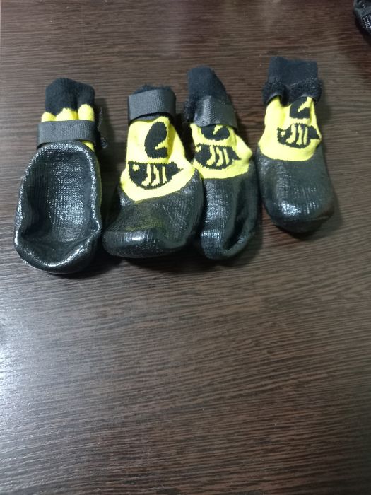 Продам носочки для собак,