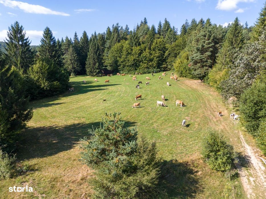 Lacuri Vulcan Brasov - Premium in turism-teren 6800mp