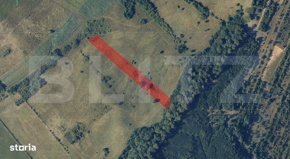 Teren extravilan de vanzare, 56 ari, zona Valea Stanelor