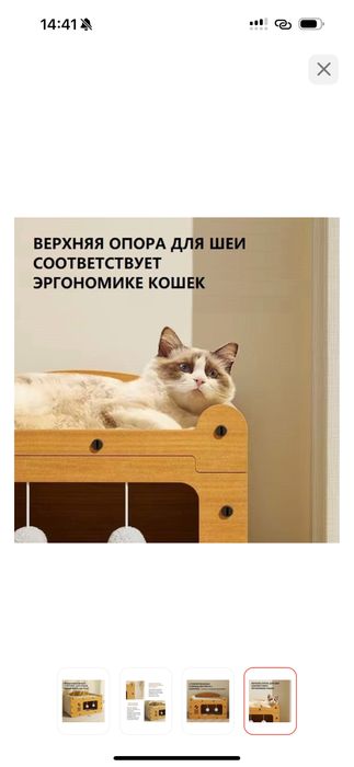 Для кошек товары