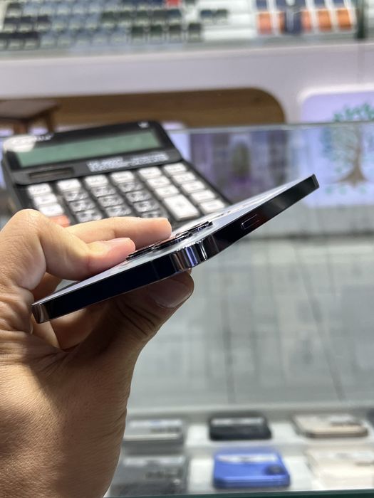 Apple 13 pro max