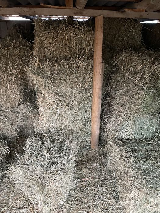 Пресс шоп құмай аралас