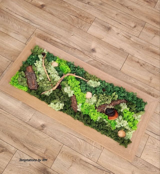 Картини със скандинавски мъх