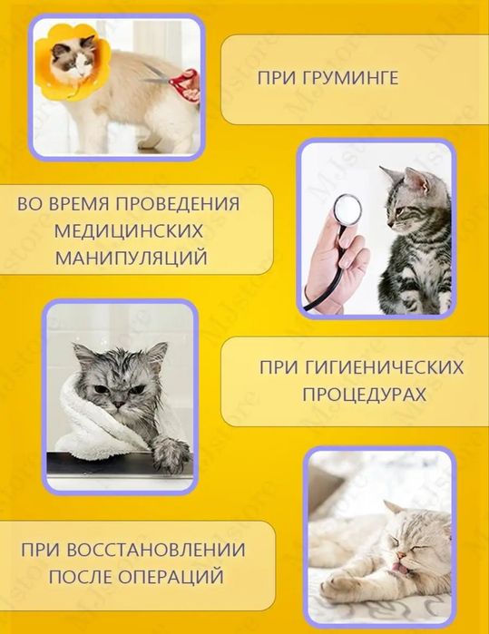 Защитный воротник для животных