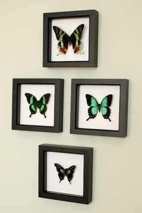 Бабочки в рамке делаю аналаги