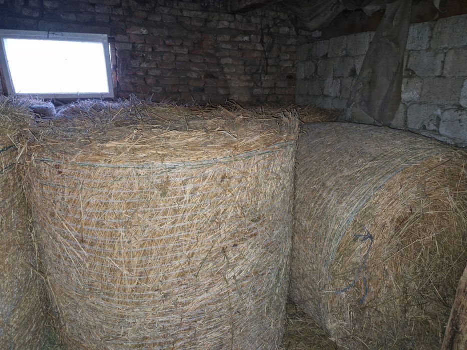 Vand baloti de lucerna