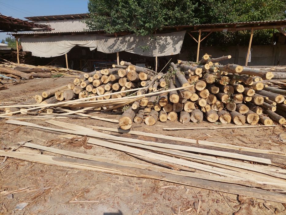 Tosin strapila corni reka taxtalar PILARAMA XIZMATI