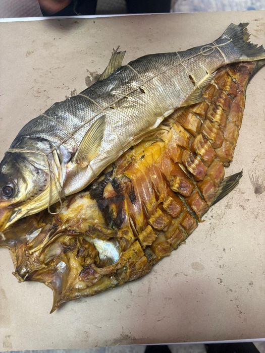 Ысталған ірі, көлемді балықтар! Капченний рыба