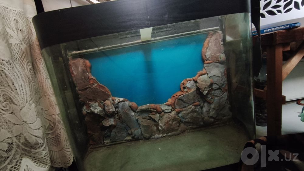 2 ta akvarium ishlatiladigan xolatda