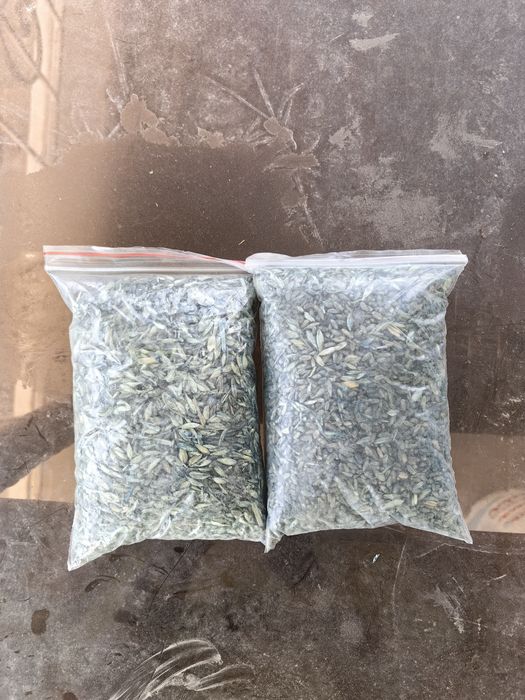 Приманка для крыс, отрава для крыс