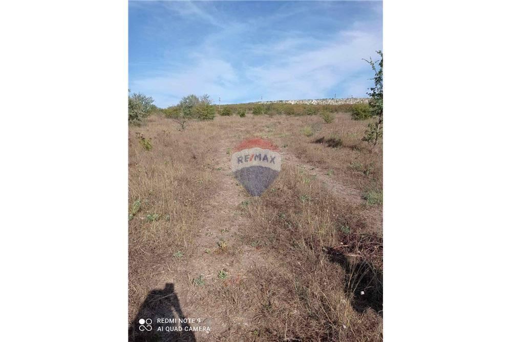 Земеделска земя, с. Генерал Кантарджиево, ТЕ