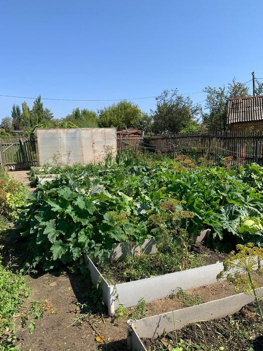 Продам дачу общество "Локомотив "