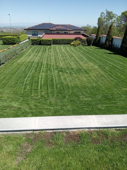 Градинарски услуги, озеленяване и поддръжка, област Пловдив!!!