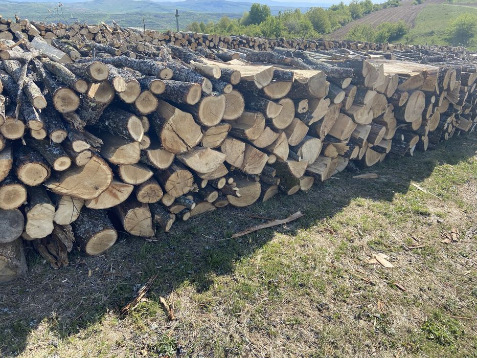 Lemne de foc carpen