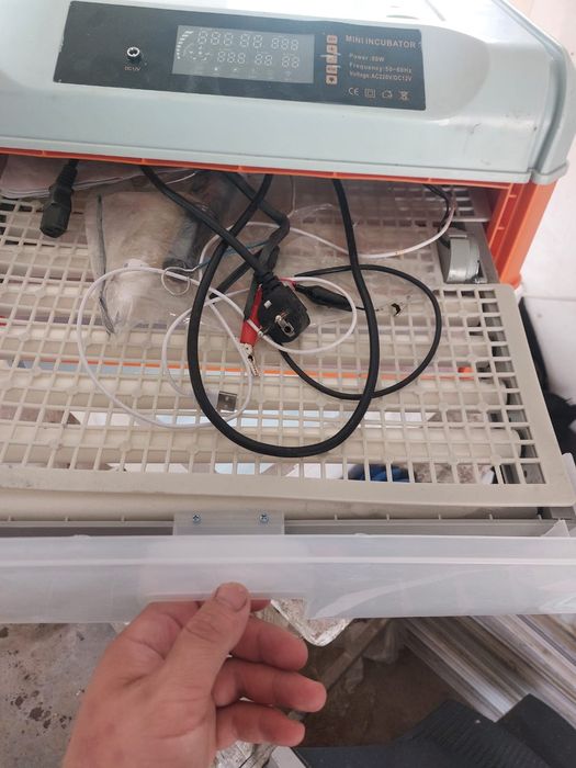 Инкубатор сатылады