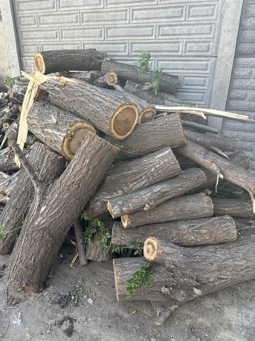 Продам дрова карагача 15 тыс, самовывоз, адрес Елек 3 а