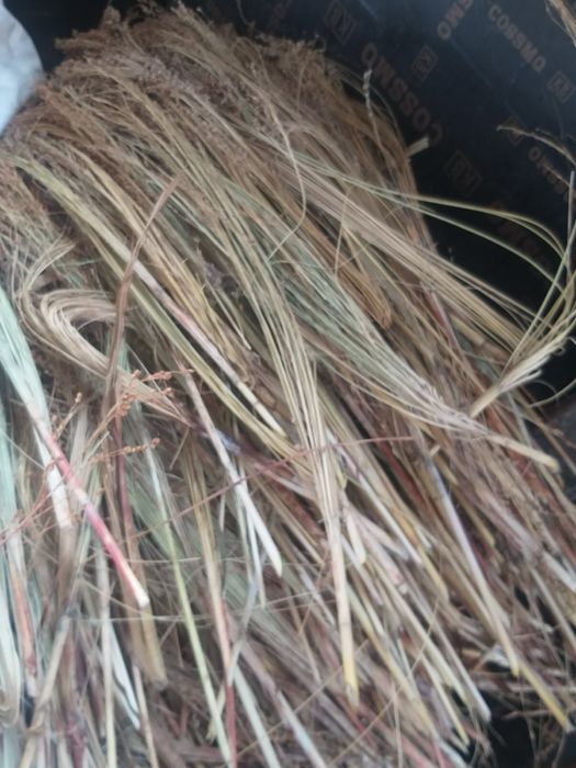 Продавам Метлен клас.