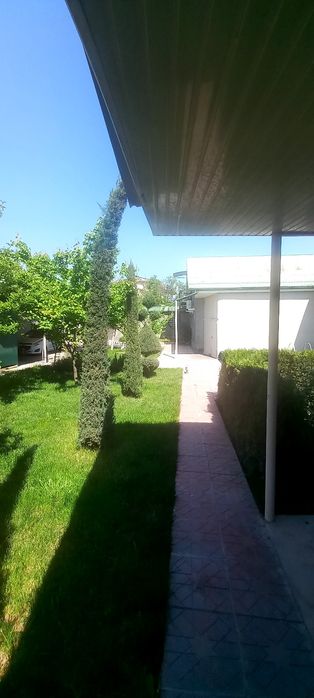 Бинокор 3 сотки земля