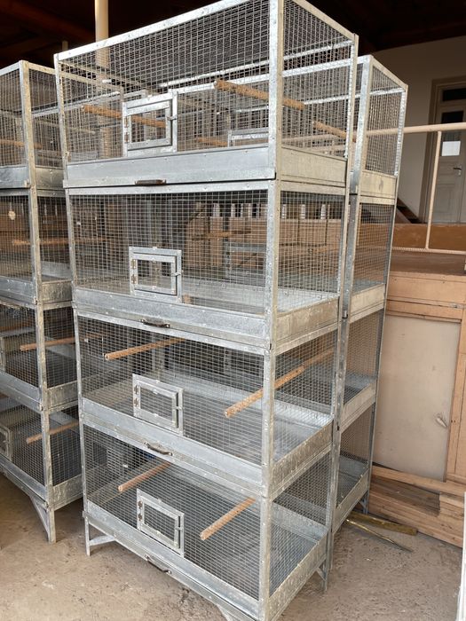 Qafas Valer sotiladi