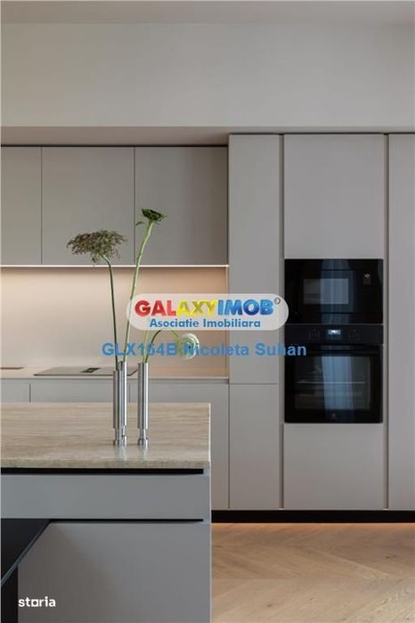 Vanzare Casa Spectaculoasa Cu Piscina Iancu Nicolae