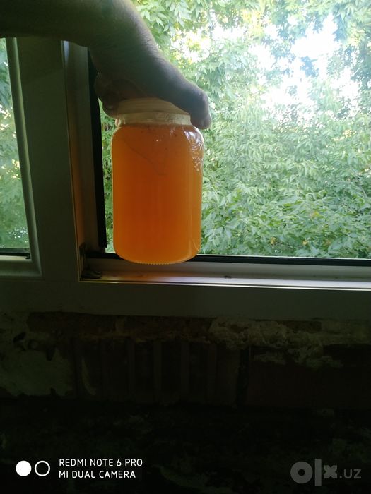 Чистый горный мед