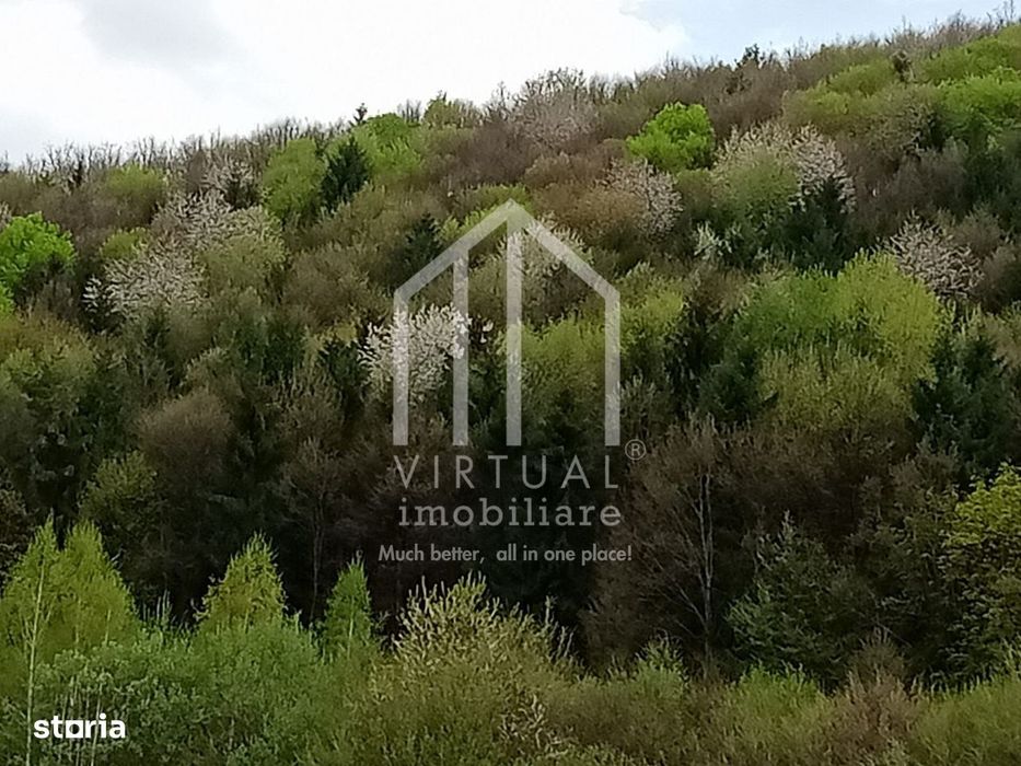 Teren intravilan de vanzare in Tocile, 3862 mp, priveliste spre padure