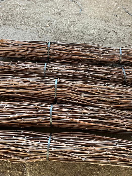 Vand portaltoi vita de vie