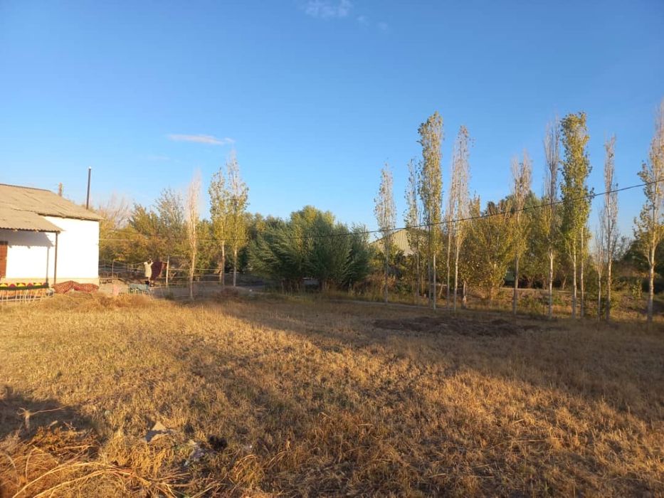 12 сотик 7 ханалы жер жай хожелы саманколапж 400млн сум келсып беремиз