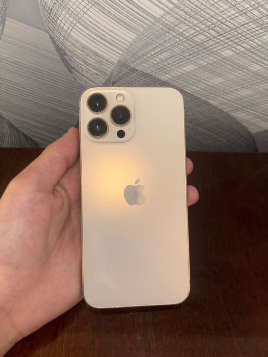 iPhone 13 Pro Max