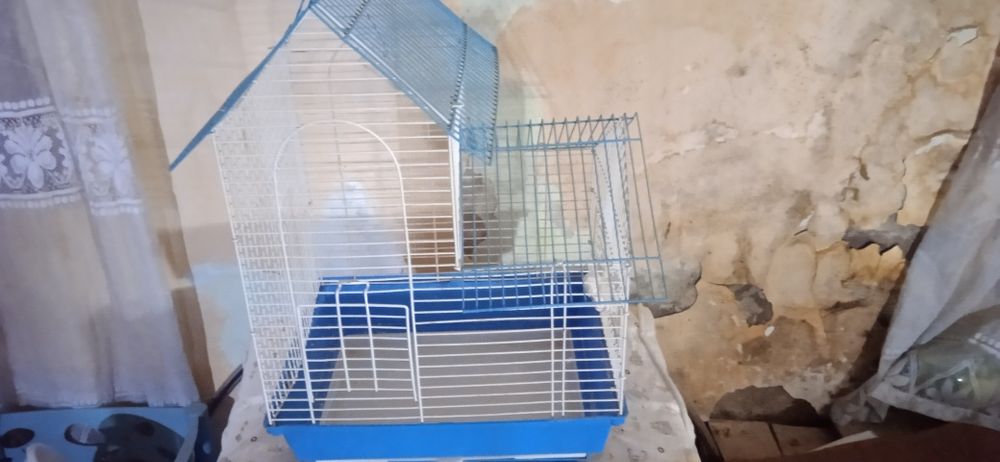 Qafas sotladi qushlar uchun