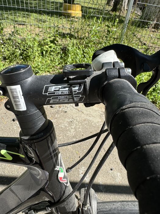 Cursiera Scapin Shindy