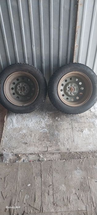 Қысқы шипы дөнгелек