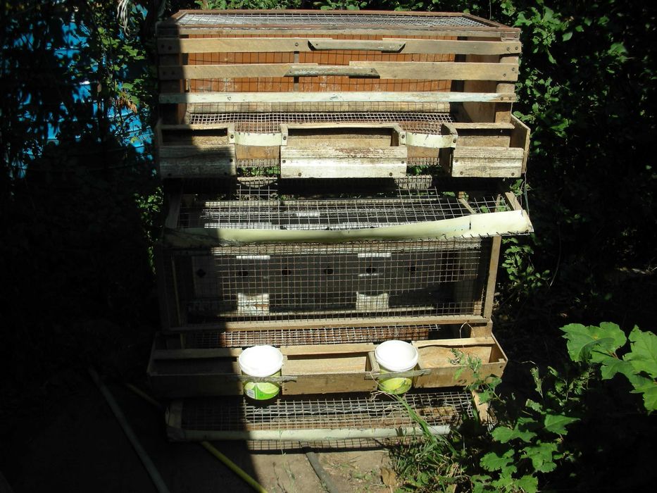 Клетка для кур б/у