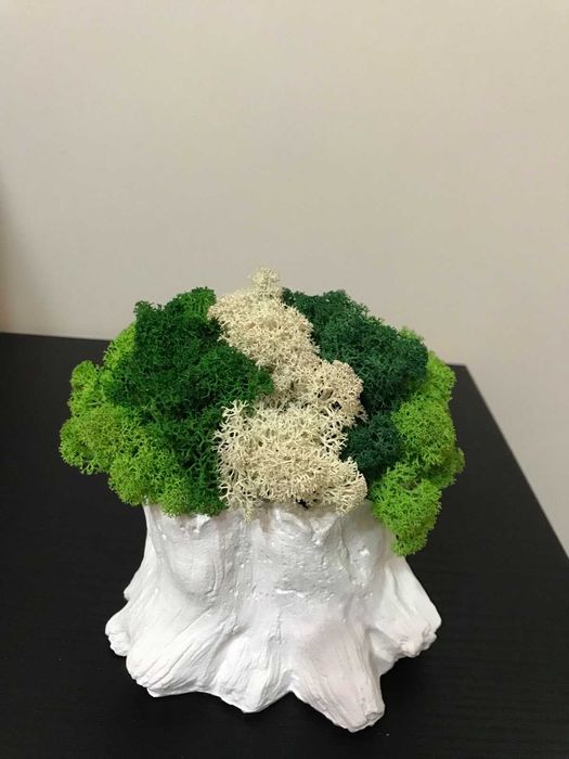 Кашпа "Дънер" със скандинавски мъх