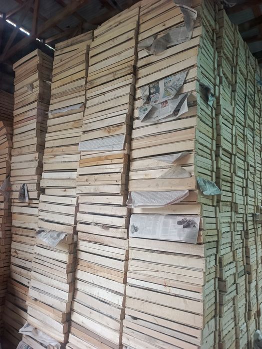 Памидор яшиклар холати ало