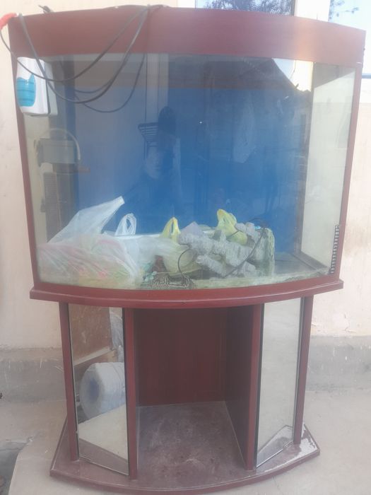 Akvaryum arzon sotiladi