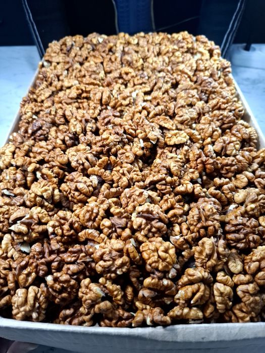 Грецкие орехи местные yongoq mestniy yong'oq  chaqchuq nuts