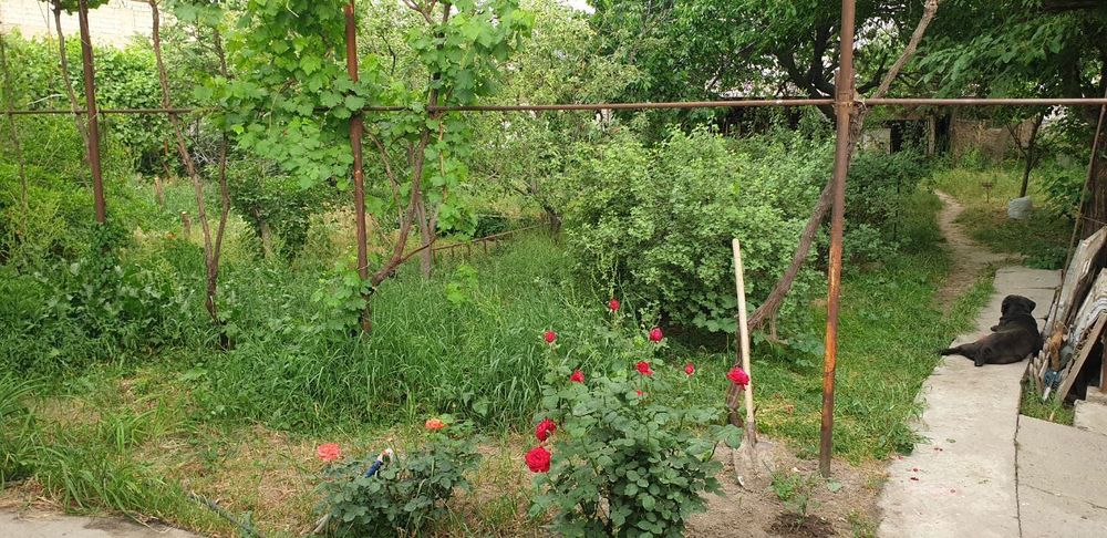 Продаётся дом 12,5 соток на улице Мухтара Ашрафи