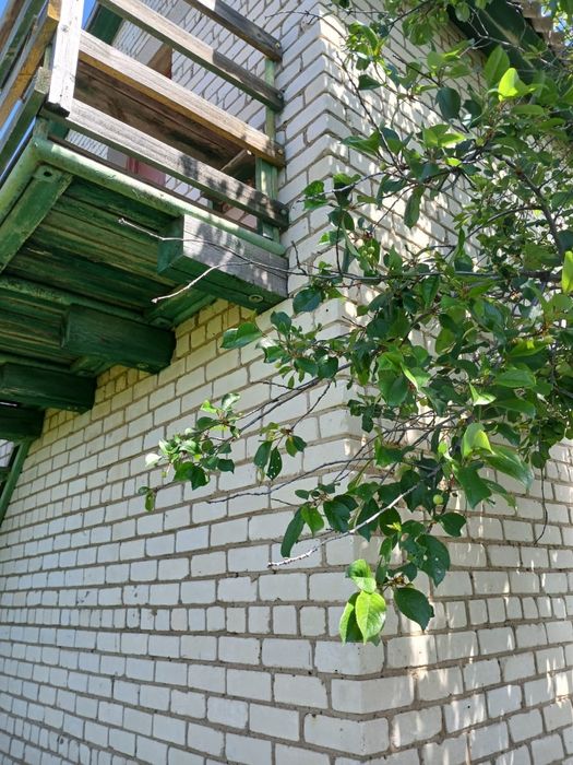 Продам дачу в районе Барбастау