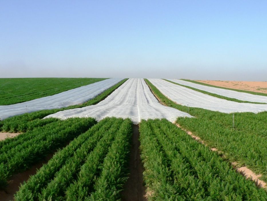 Folie anti-inghet. OFERTA !!!18 - 23g/m²