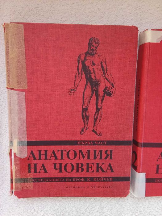 Анатомия на човека на проф Койчев,част 1 и2