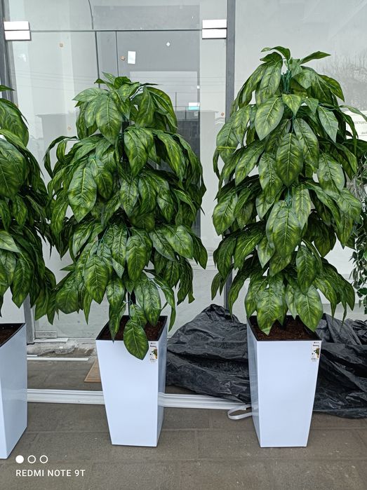 Искусственный деревя декоративные