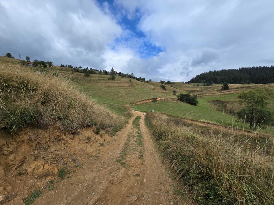 Продавам парцел УПИ 3000кв.м. в село Проглед, общ.Чепеларе