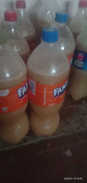 Табий тоза асал дехкончилик