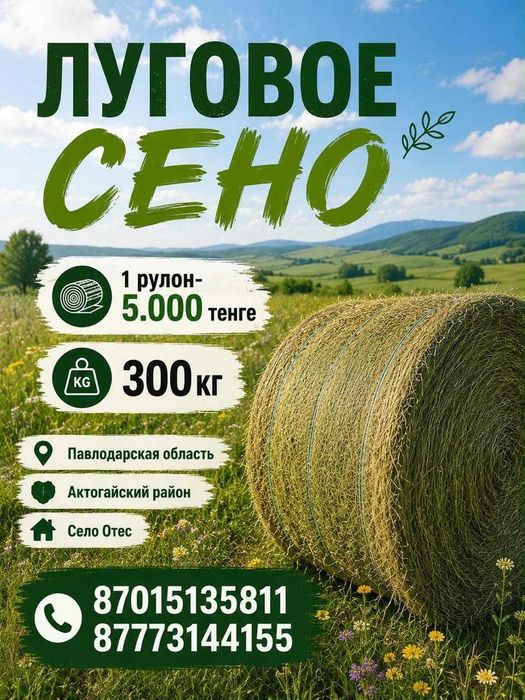 Продам сено луговое !