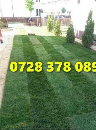 Gazon rulou Sistem de Irigare Oriunde in tara Calitate Extra