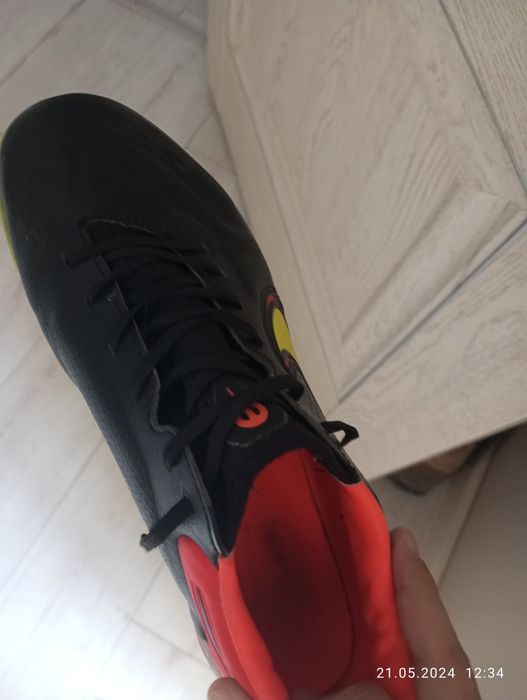 Сороконожки темпо