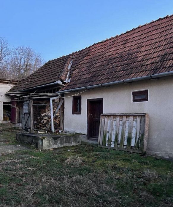 Vand casa in satul Iosaș, judetul Arad