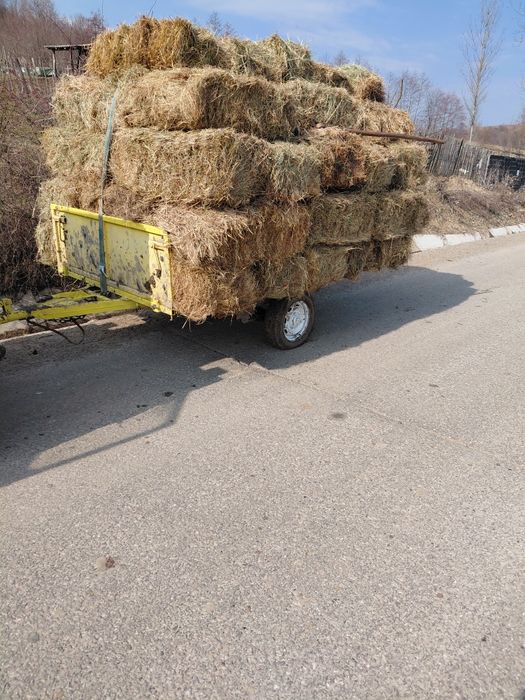 Vând baloți de fân